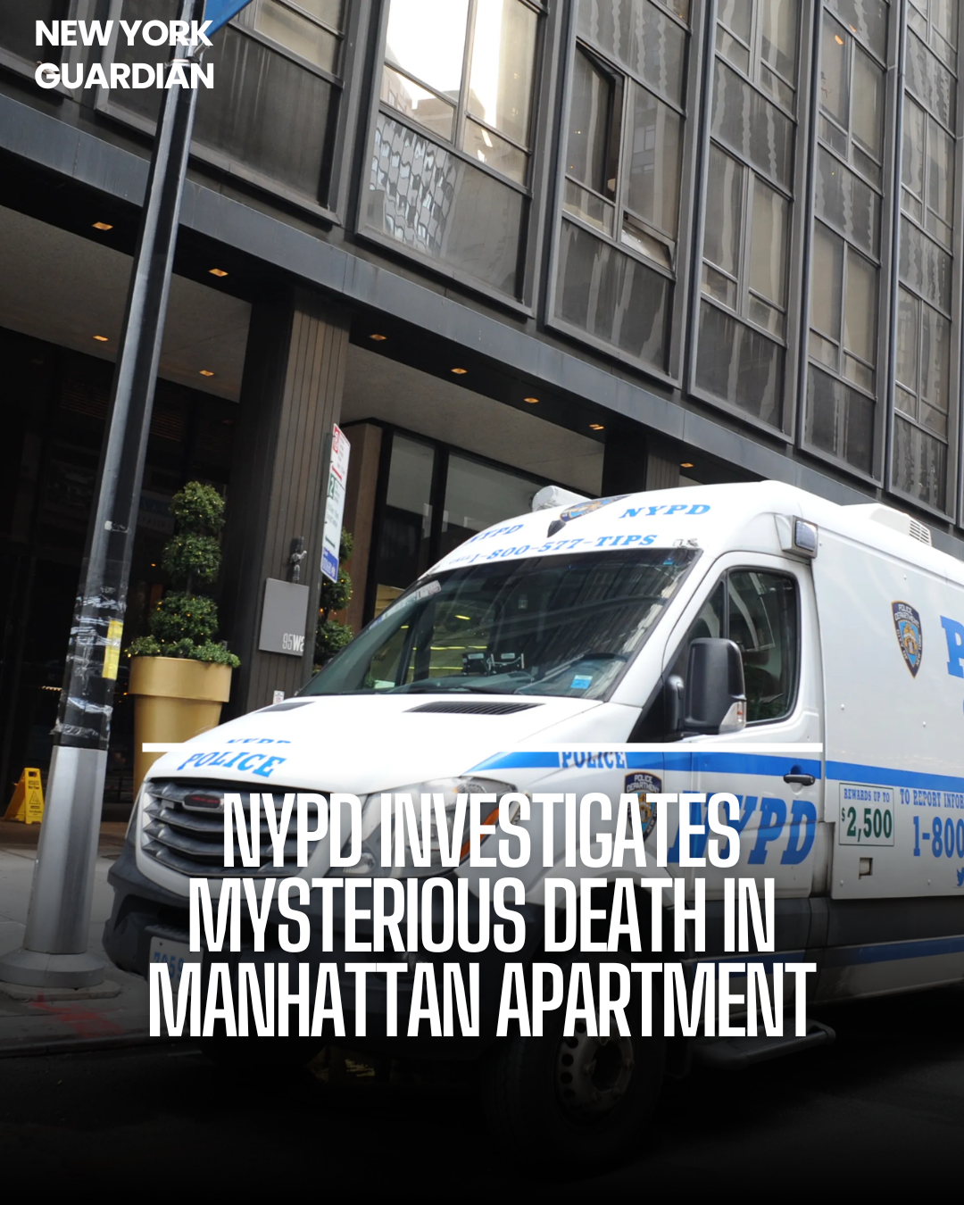The New York Police Department (NYPD) is still investigating the strange case of Nadia Vitel.