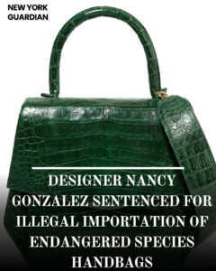 A Colombian luxury bag designer who pleaded peccant to smuggling handbags made of the skins of protected reptiles has been convicted to 18 months in jail.