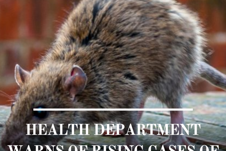 The NYC Department of Health is warning of an upsurge in a potentially fatal bacterial infection transmitted by rats.